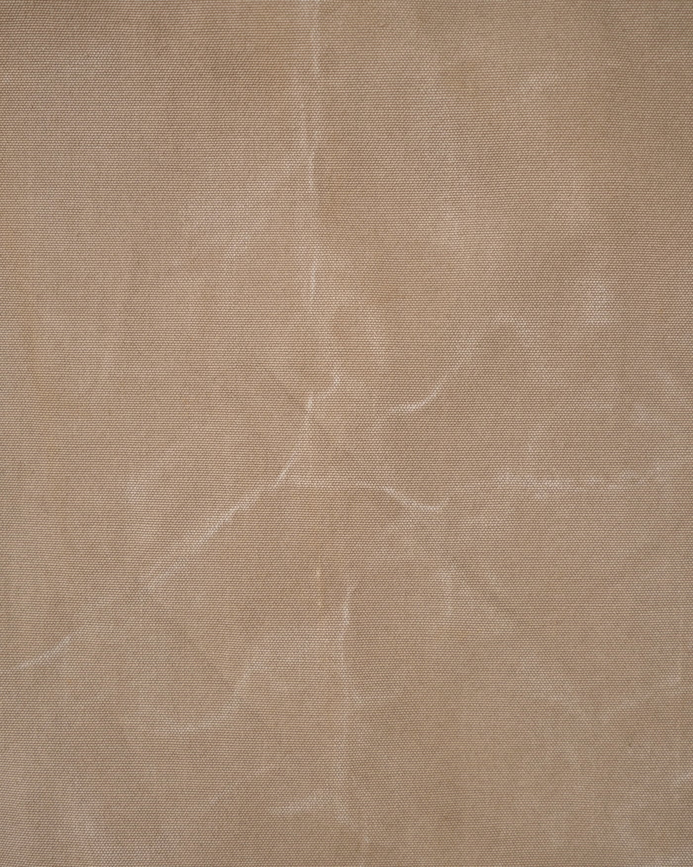 コンディション画像 1