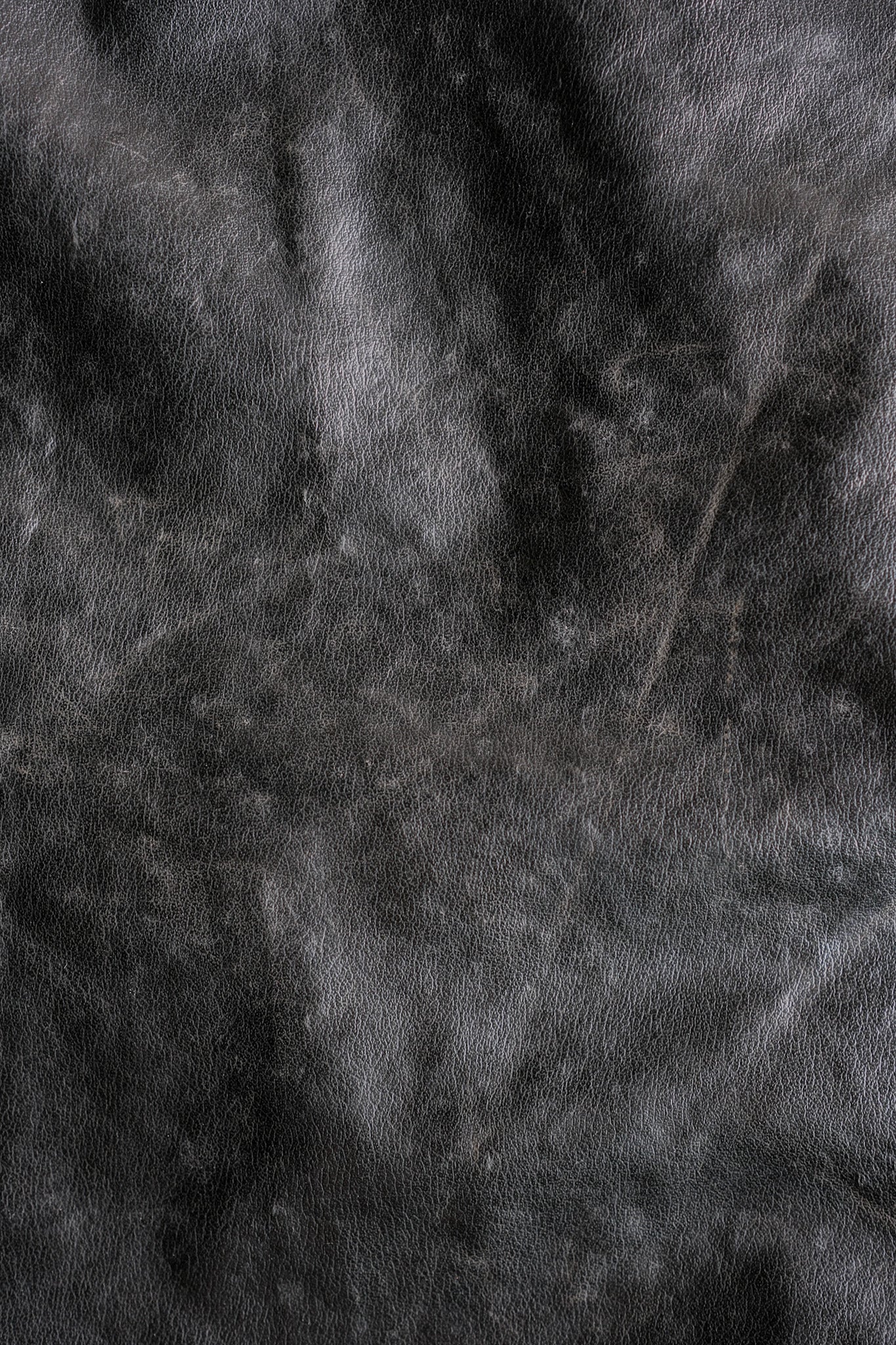 コンディション画像 3
