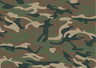 CAMOUFLAGE